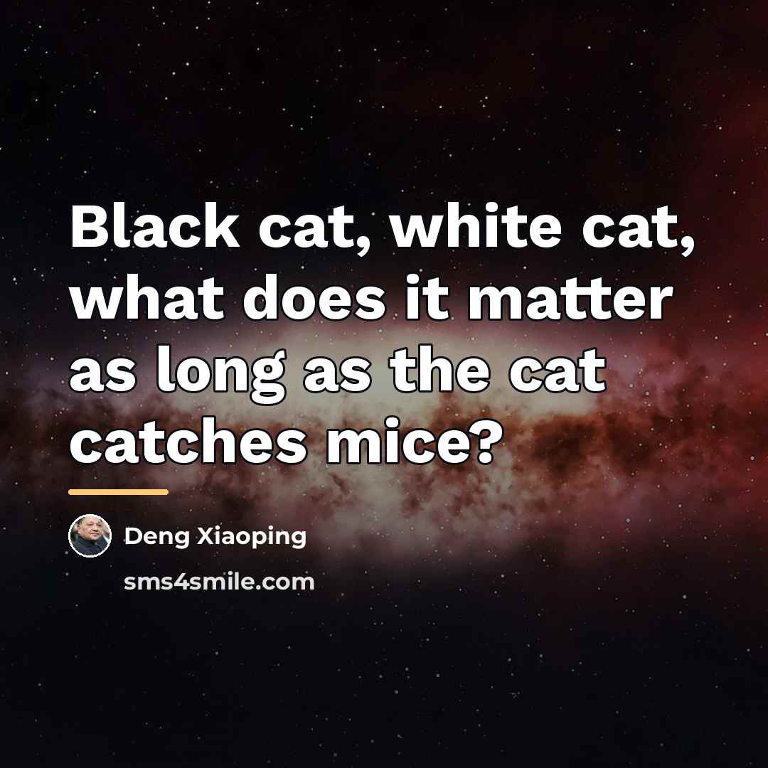 “Black cat, white cat, what does it matter as long…” quote by Deng Xiaoping