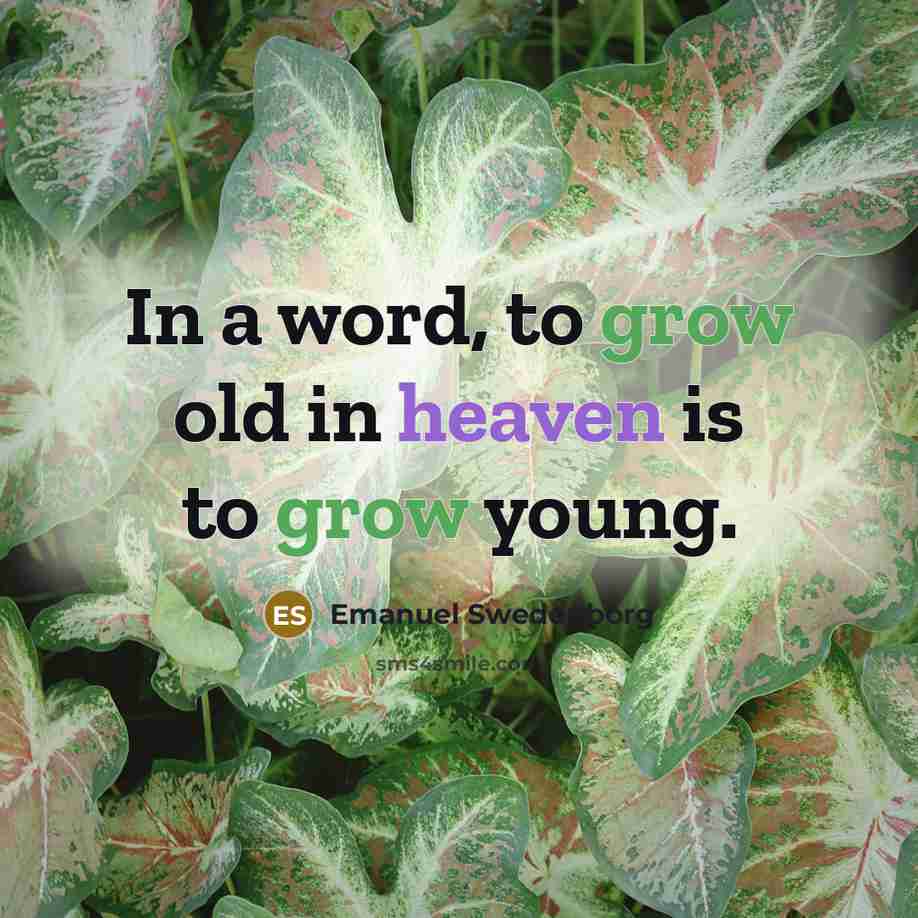 “In a word, to grow old in heaven is to…” quote by Emanuel Swedenborg