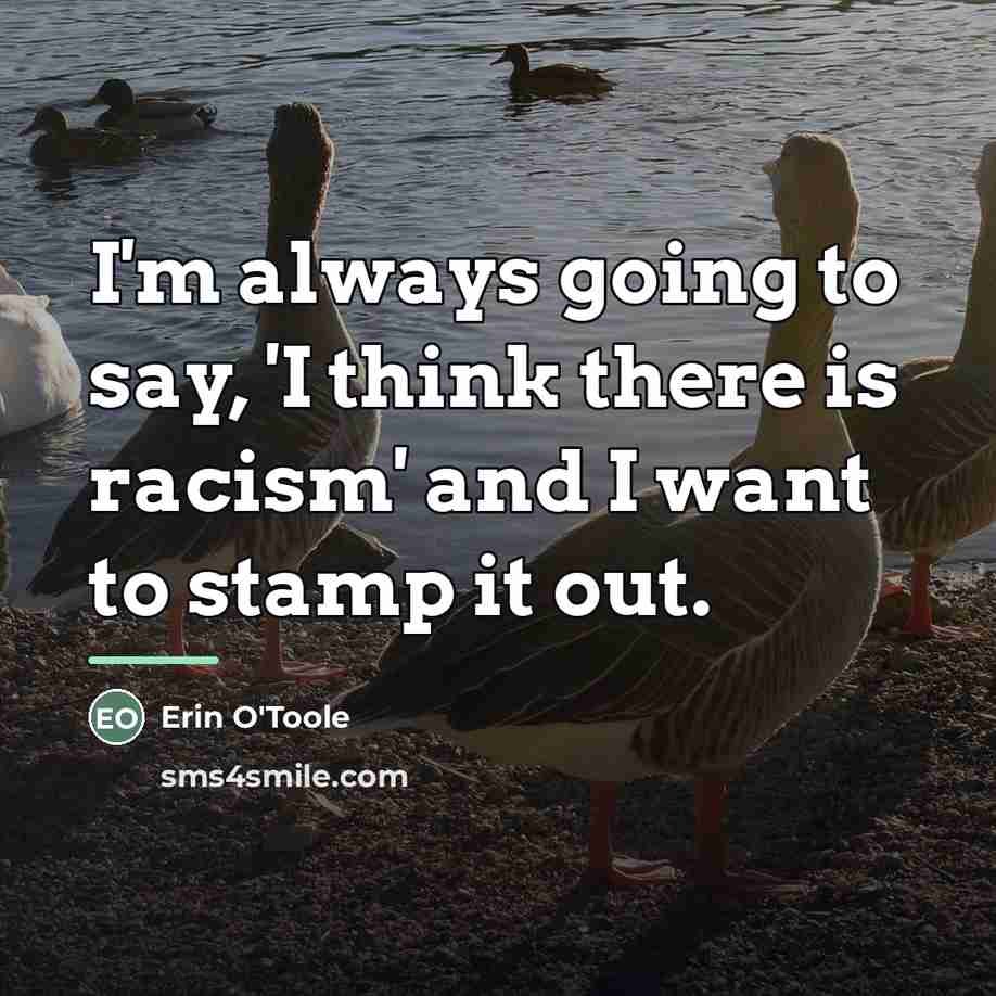 “I'm always going to say, 'I think there is racism'…” quote by Erin O'Toole