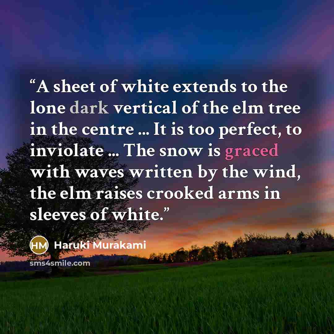 “A sheet of white extends to the lone dark vertical of the elm tree in the centre ... It is too perfect, to inviolate ... The snow is graced with waves written by the wind, the elm raises crooked arms in sleeves of white.” quote by Haruki Murakami