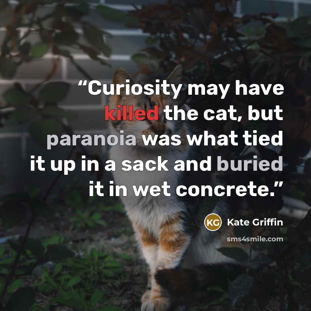 “Curiosity may have killed the cat, but paranoia was what tied it up in a sack and buried it in wet concrete.” quote by Kate Griffin