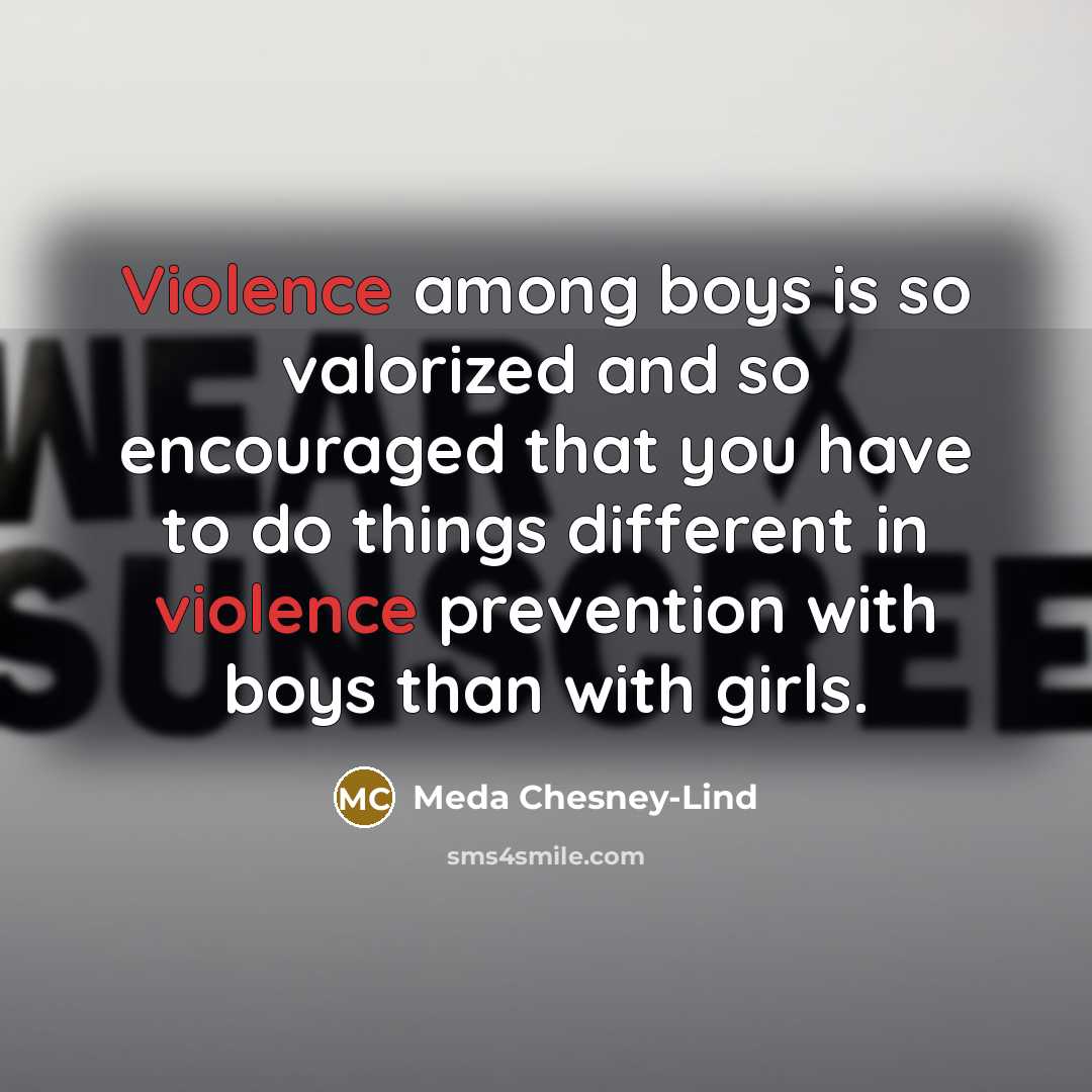 “Violence among boys is so valorized and so encouraged that…” quote by Meda Chesney-Lind