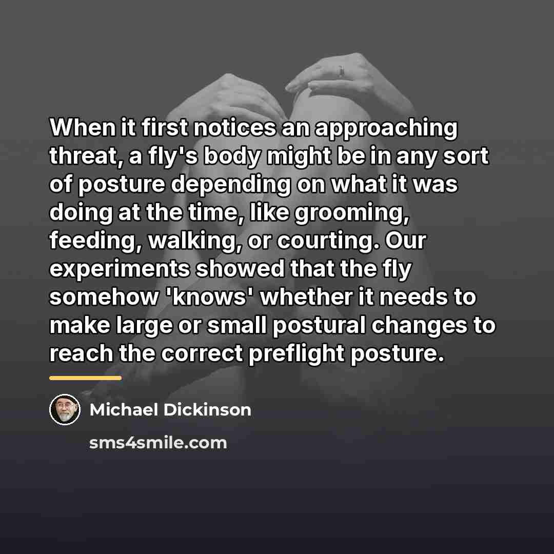“When it first notices an approaching threat, a fly's body…” quote by Michael Dickinson