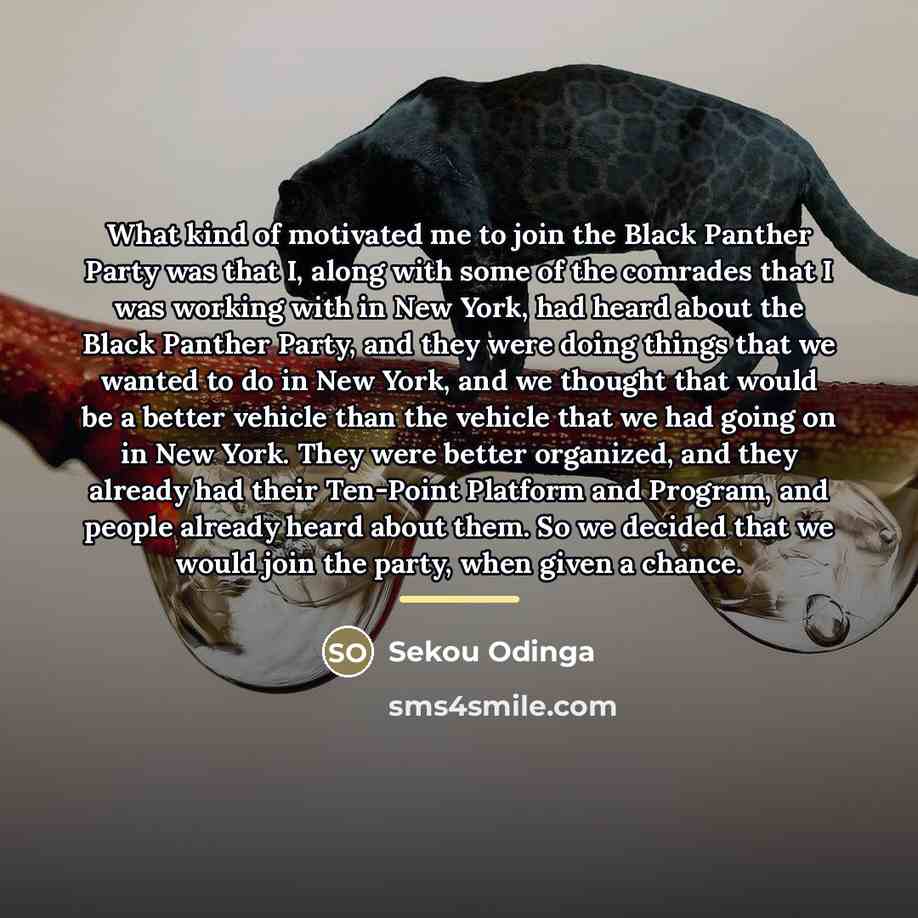 “What kind of motivated me to join the Black Panther…” quote by Sekou Odinga