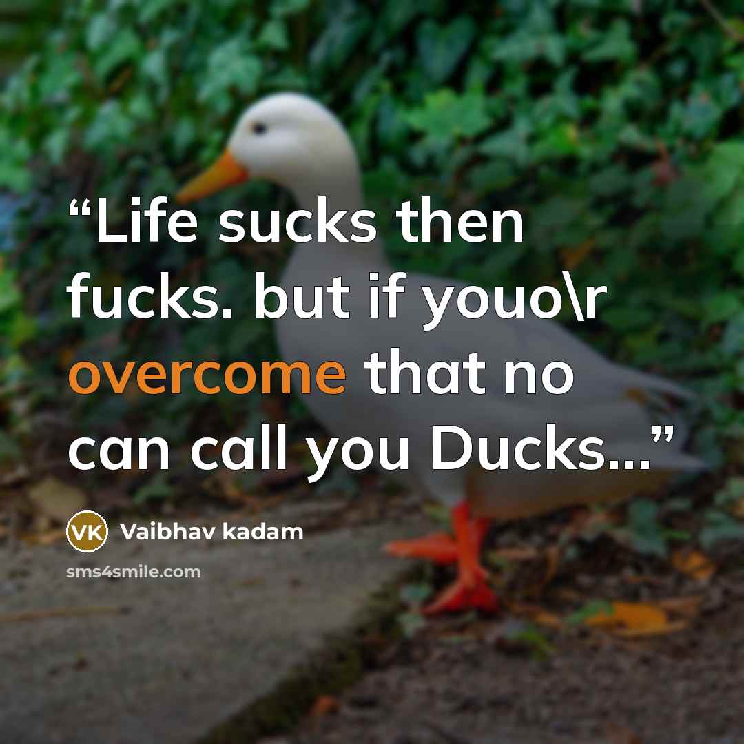 “Life sucks then fucks. but if youo\r overcome that no can call you Ducks...” quote by Vaibhav kadam