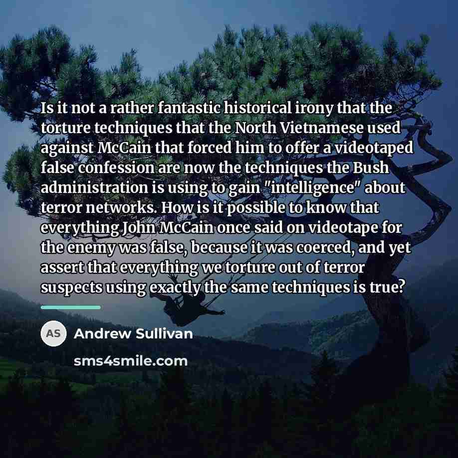 “Is it not a rather fantastic historical irony that the…” quote by Andrew Sullivan