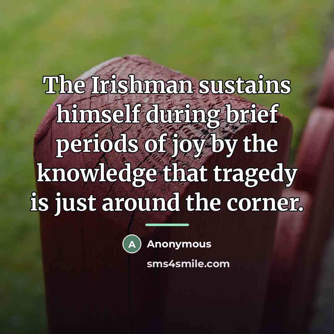 “The Irishman sustains himself during brief periods of joy by…” quote by Anonymous