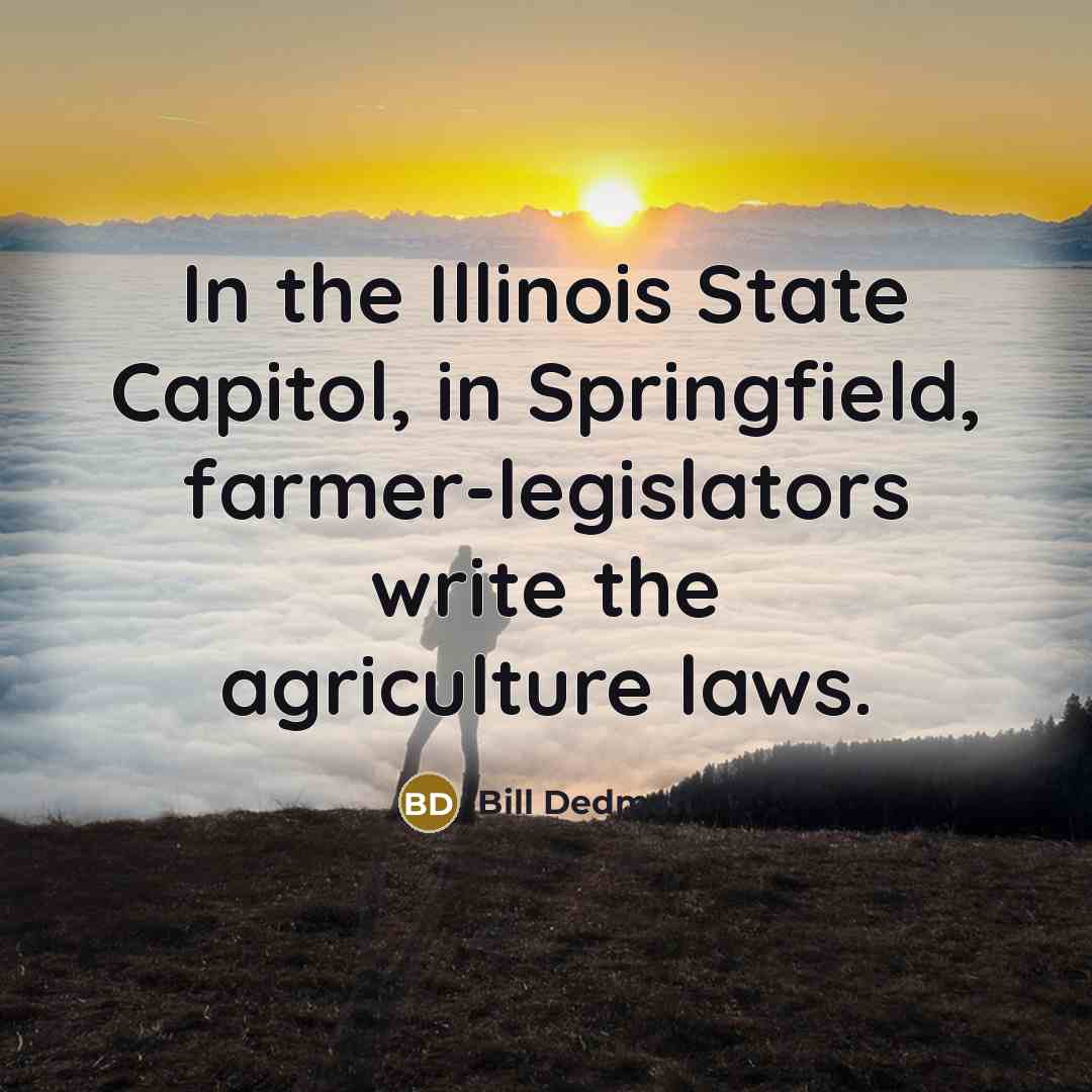 “In the Illinois State Capitol, in Springfield, farmer-legislators write the…” quote by Bill Dedman