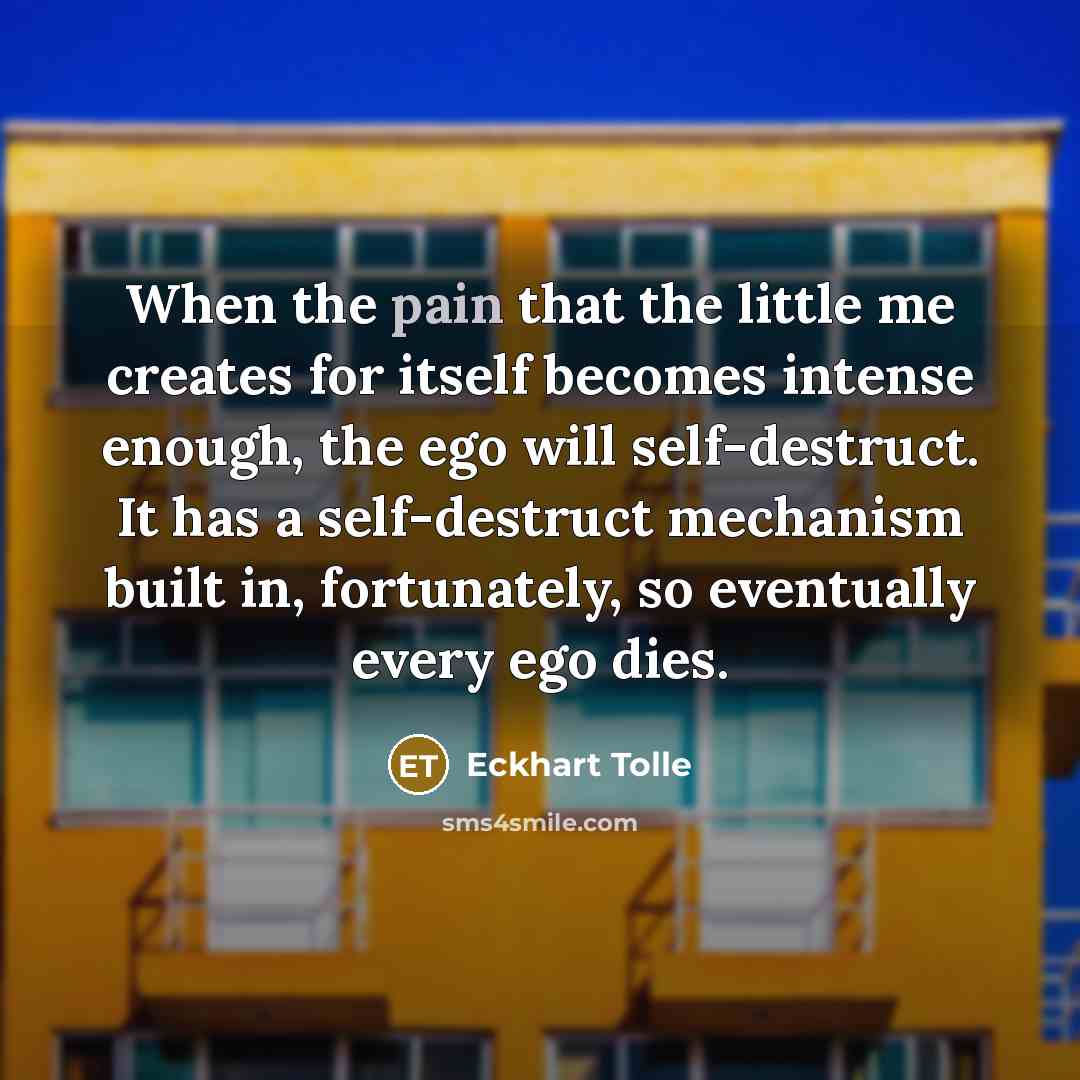 “When the pain that the little me creates for itself…” quote by Eckhart Tolle