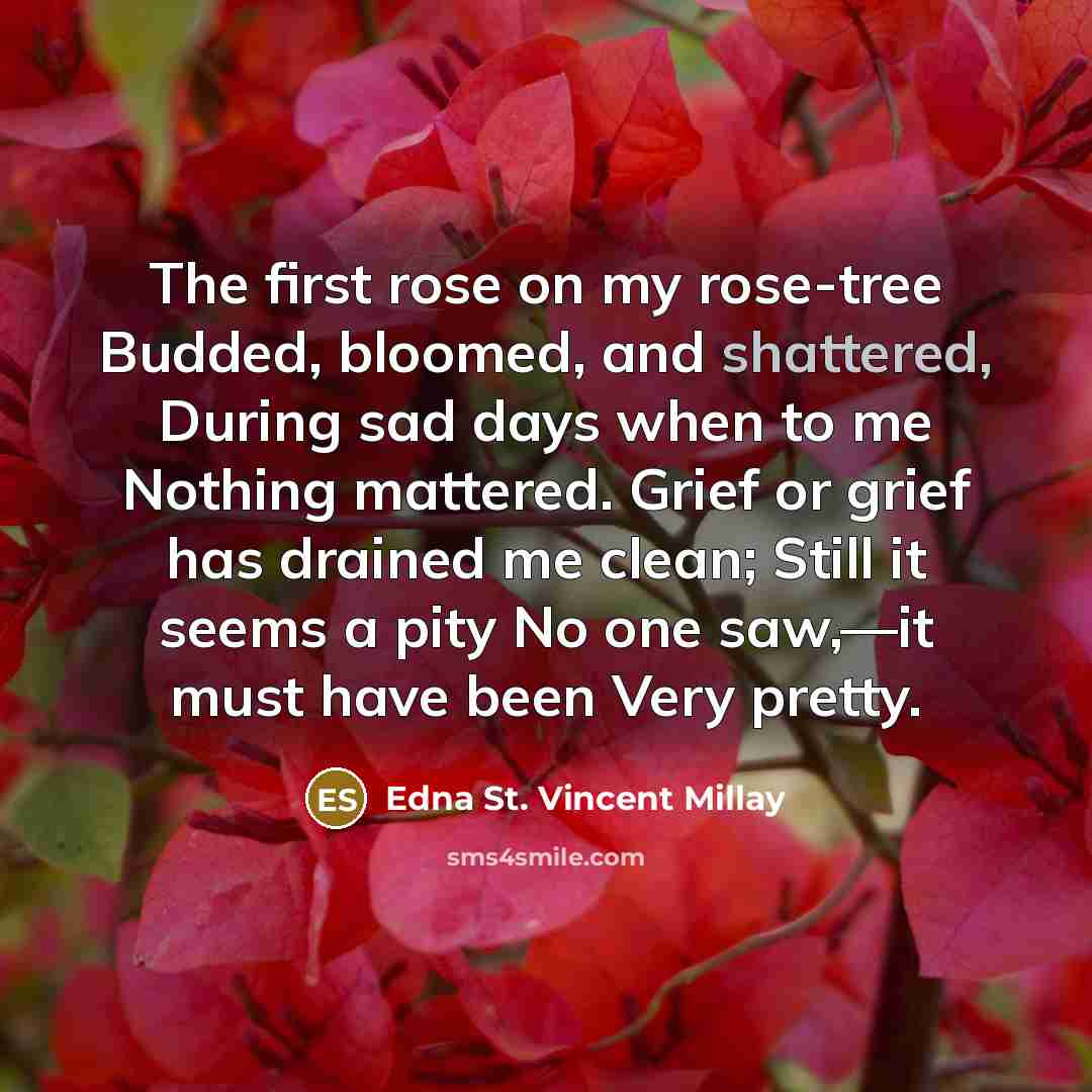 “The first rose on my rose-tree Budded, bloomed, and shattered,…” quote by Edna St. Vincent Millay