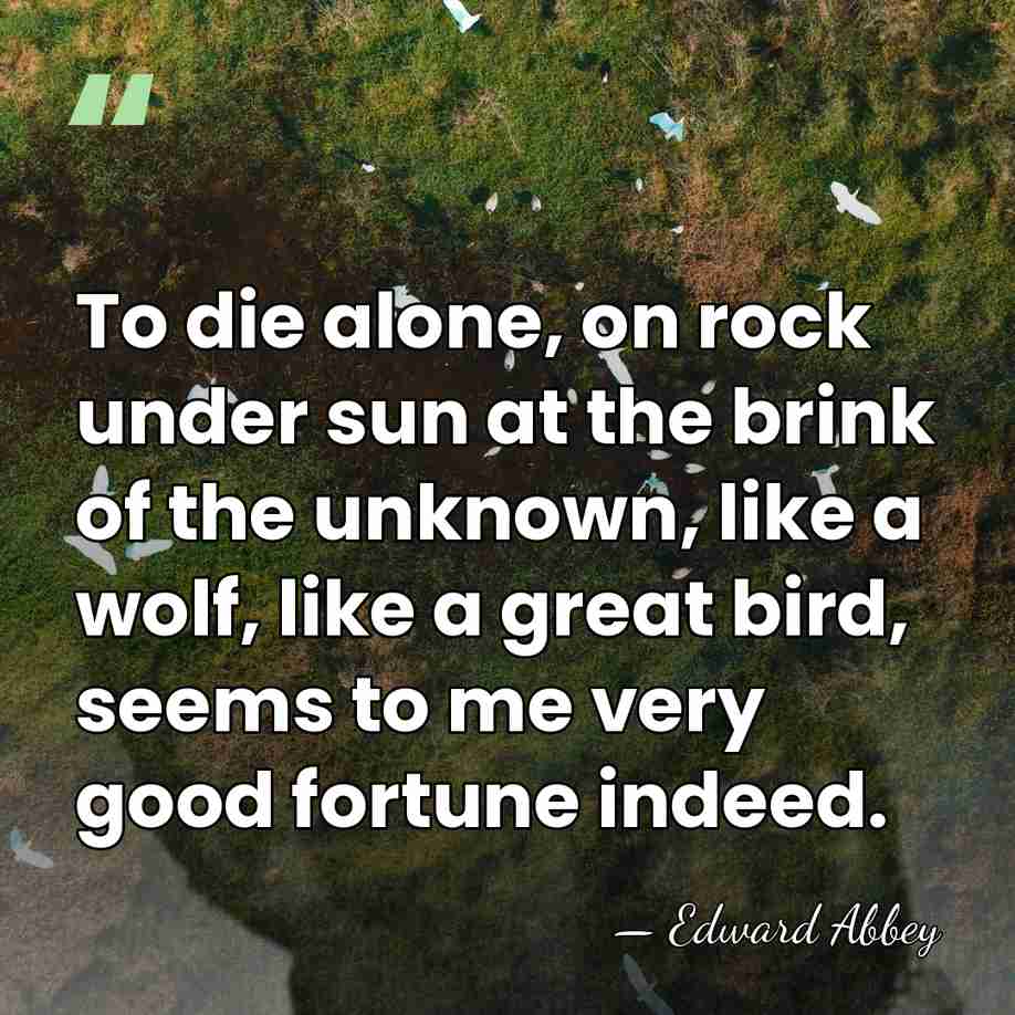 To die alone, on rock under sun at the brink of the&hellip; - Edward Abbey