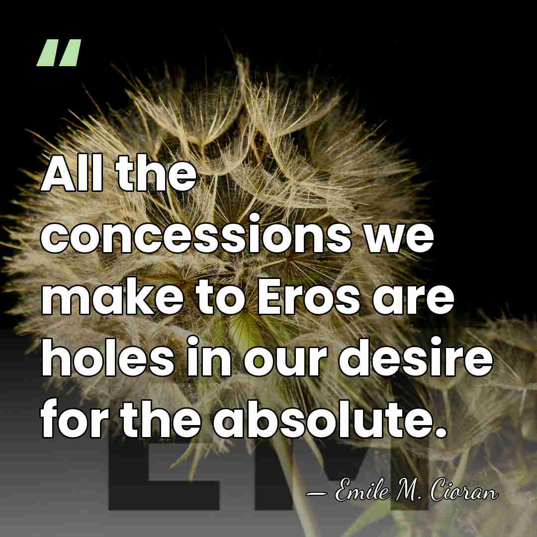 All the concessions we make to Eros are holes in our desire&hellip; - Emile M. Cioran