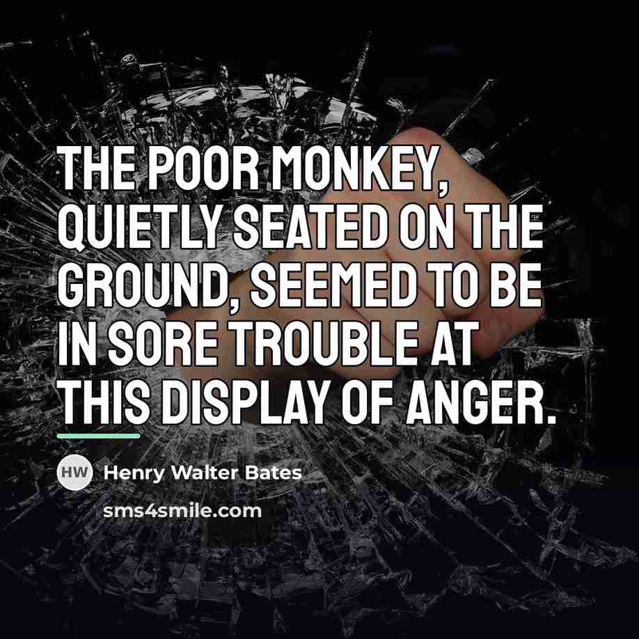 “The poor monkey, quietly seated on the ground, seemed to…” quote by Henry Walter Bates