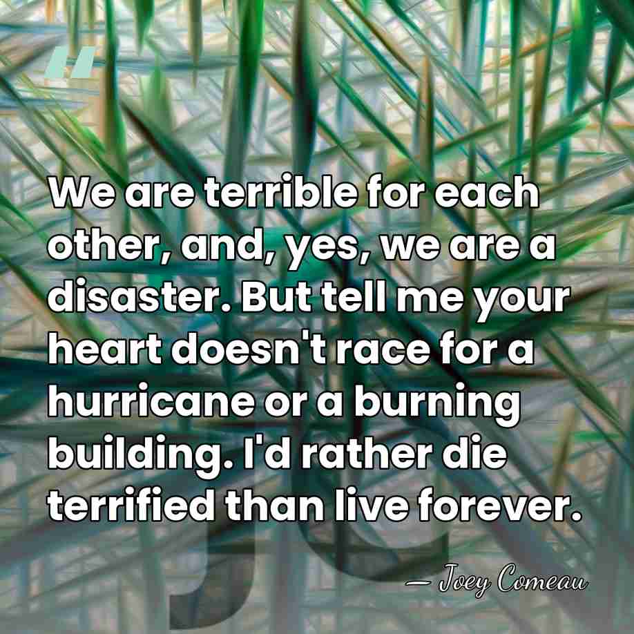 We are terrible for each other, and, yes, we are a disaster.&hellip; - Joey Comeau