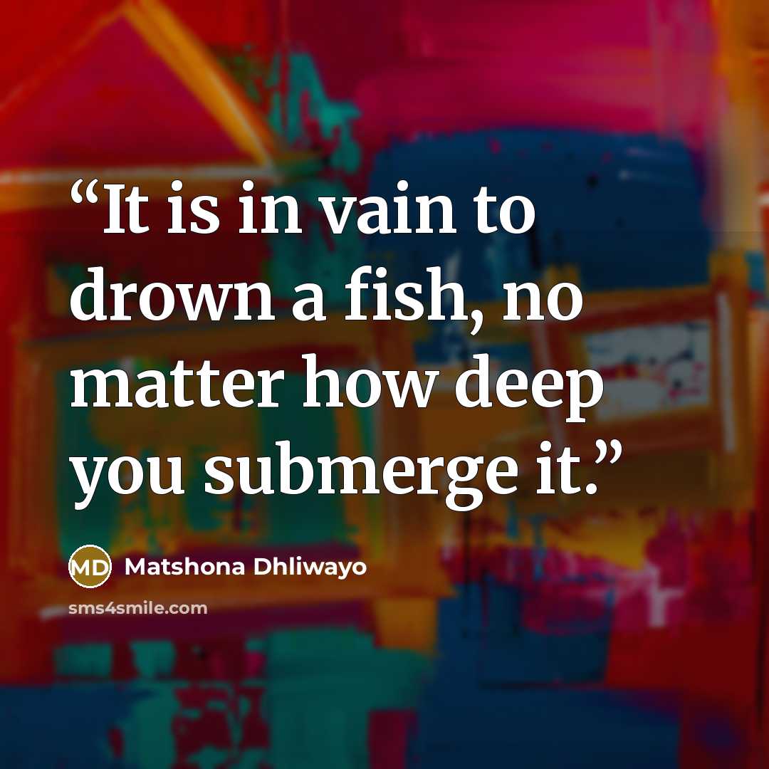 “It is in vain to drown a fish, no matter how deep you submerge it.” quote by Matshona Dhliwayo