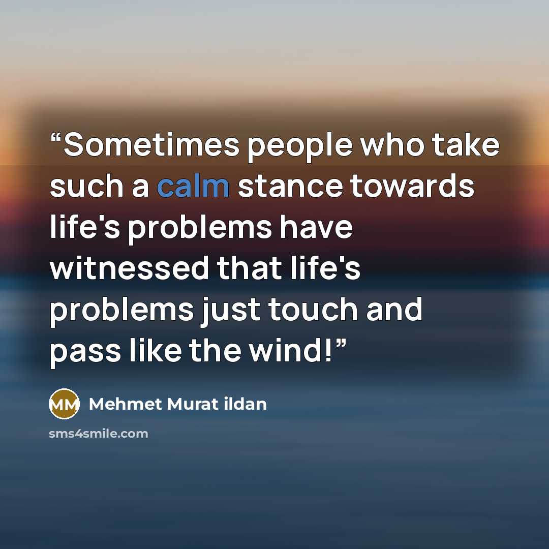 “Sometimes people who take such a calm stance towards life's problems have witnessed that life's problems just touch and pass like the wind!” quote by Mehmet Murat ildan