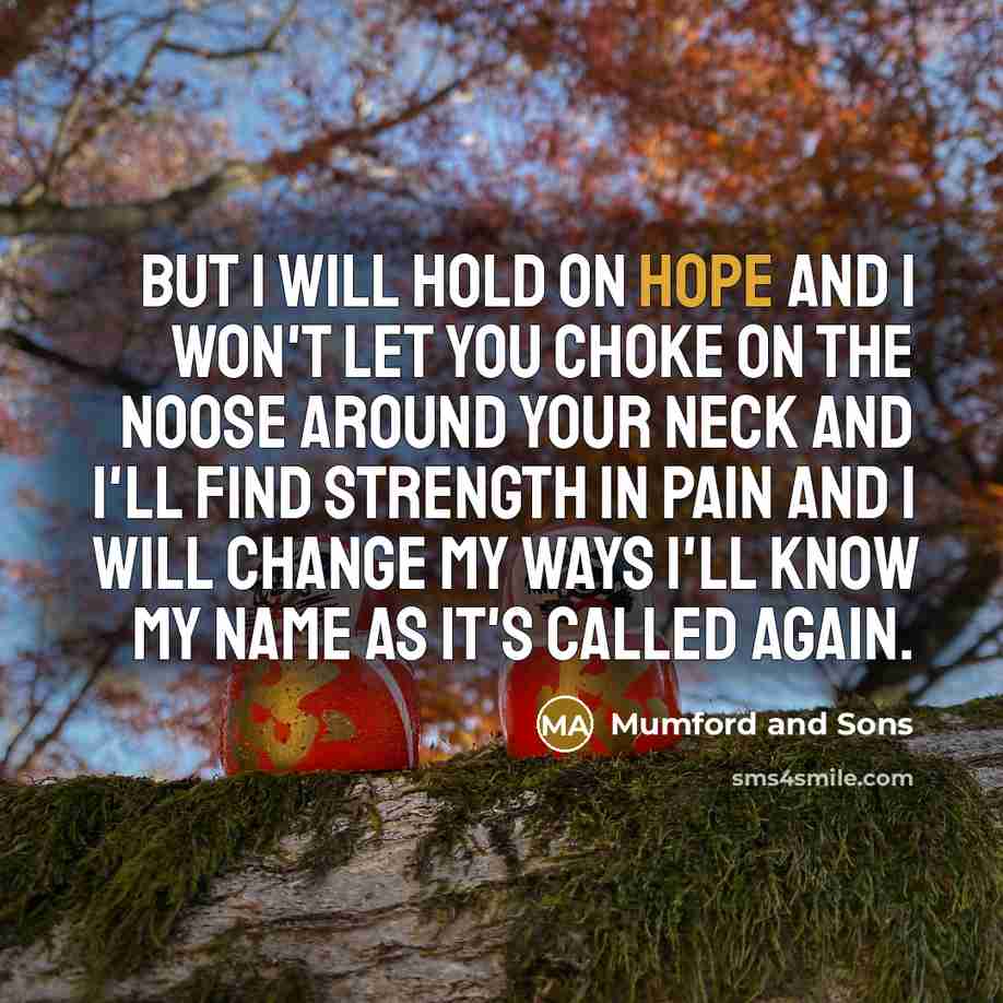 “But I will hold on hope And I won't let…” quote by Mumford And Sons