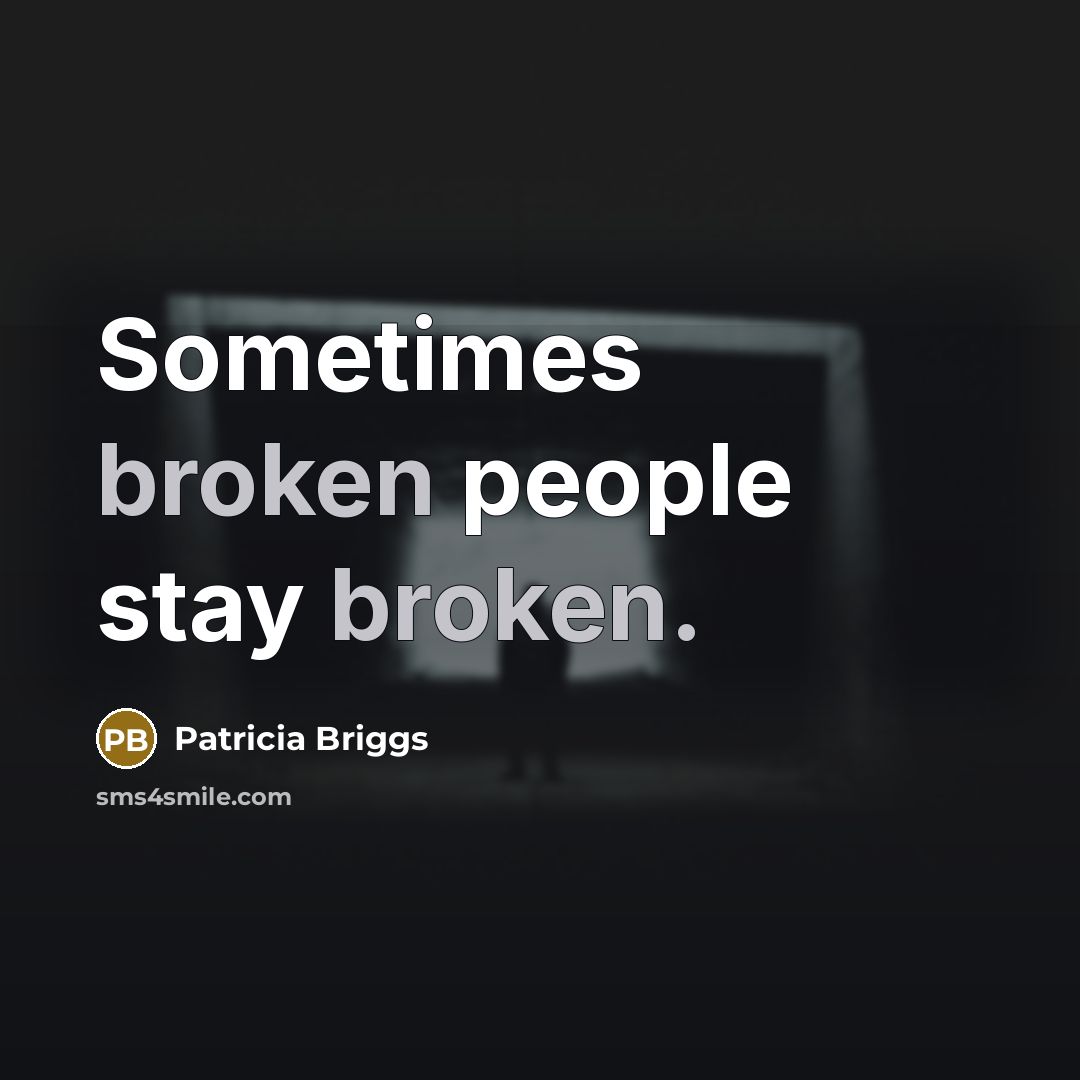 “Sometimes broken people stay broken.…” quote by Patricia Briggs
