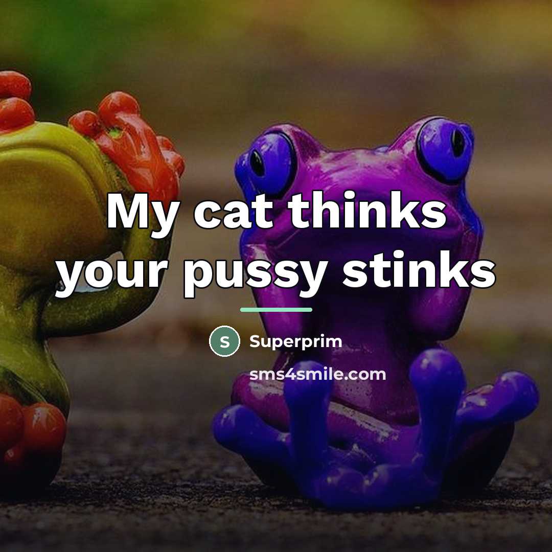 “My cat thinks your pussy stinks…” quote by Superprim