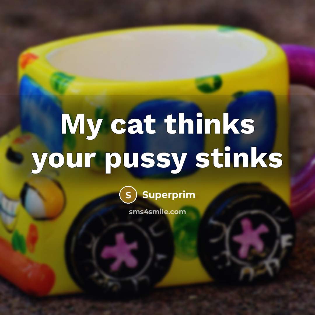“My cat thinks your pussy stinks” quote by Superprim