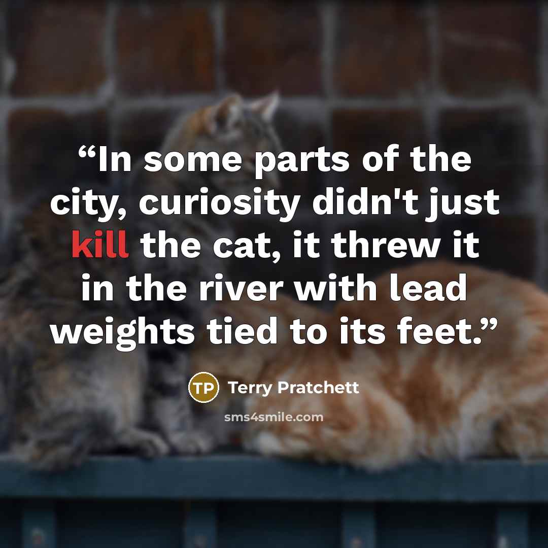 “In some parts of the city, curiosity didn't just kill the cat, it threw it in the river with lead weights tied to its feet.” quote by Terry Pratchett