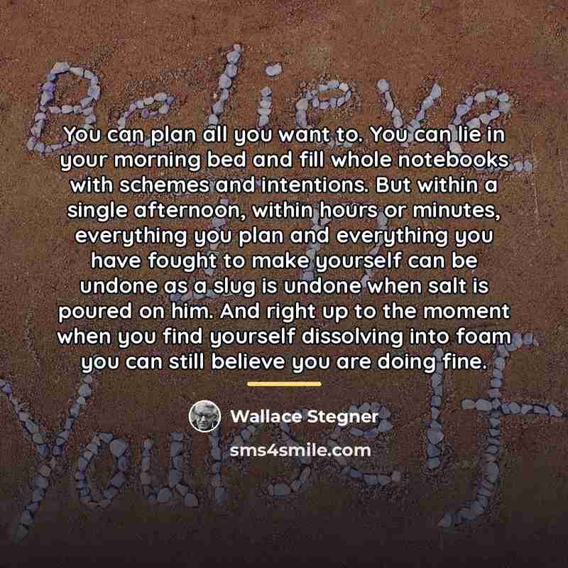 “You can plan all you want to. You can lie…” quote by Wallace Stegner
