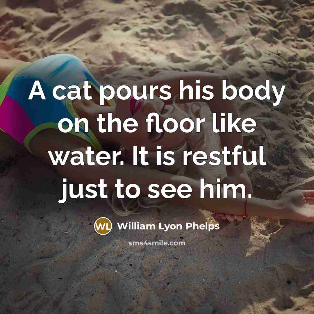 “A cat pours his body on the floor like water.…” quote by William Lyon Phelps