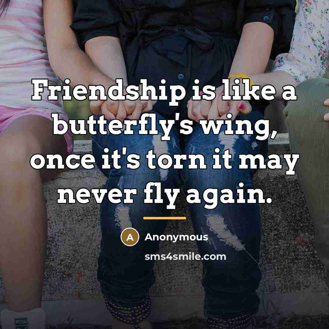 “Friendship is like a butterfly's wing, once it's torn it…” quote by Anonymous