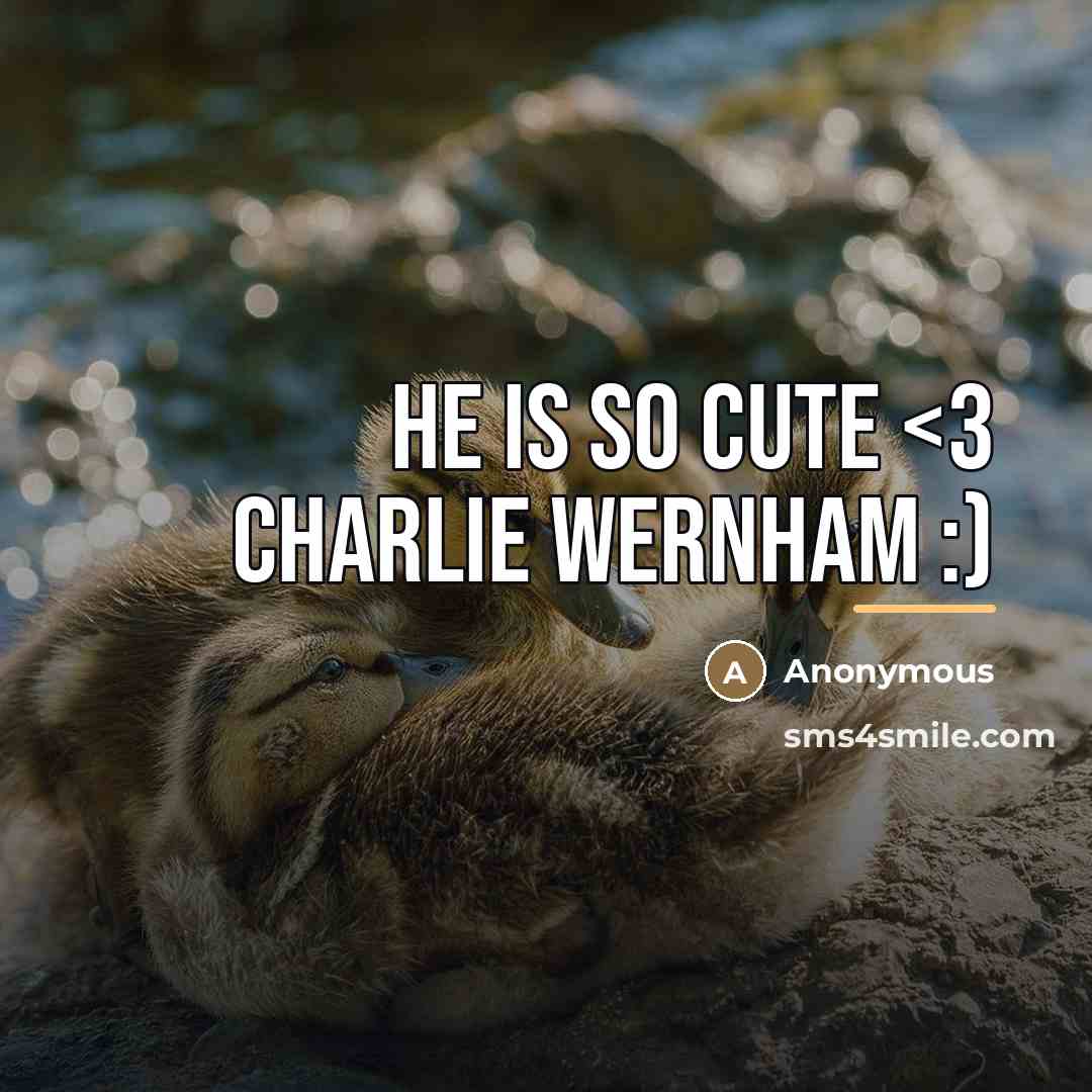 “He is so cute…” quote by Anonymous