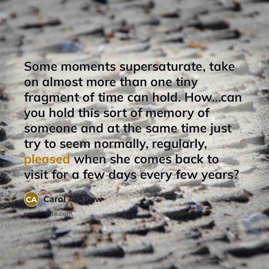 “Some moments supersaturate, take on almost more than one tiny…” quote by Carol Anshaw