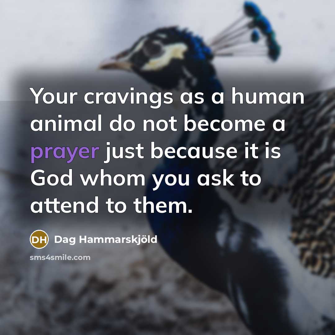 “Your cravings as a human animal do not become a…” quote by Dag Hammarskjold