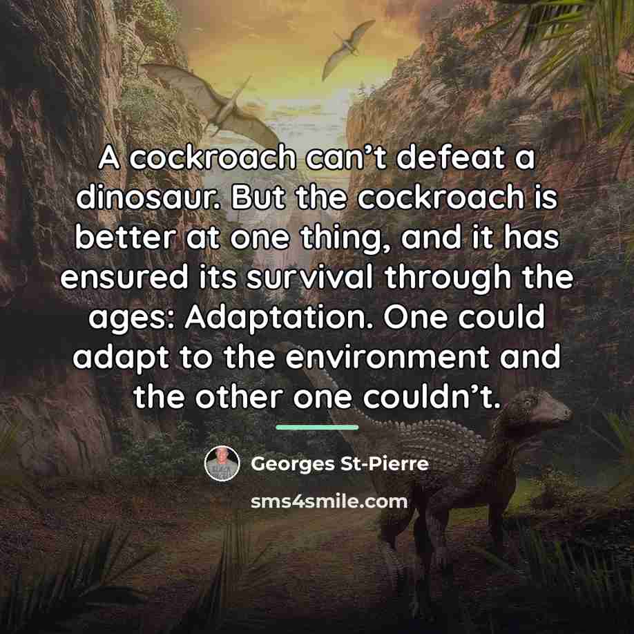 “A cockroach can’t defeat a dinosaur. But the cockroach is…” quote by Georges St-Pierre