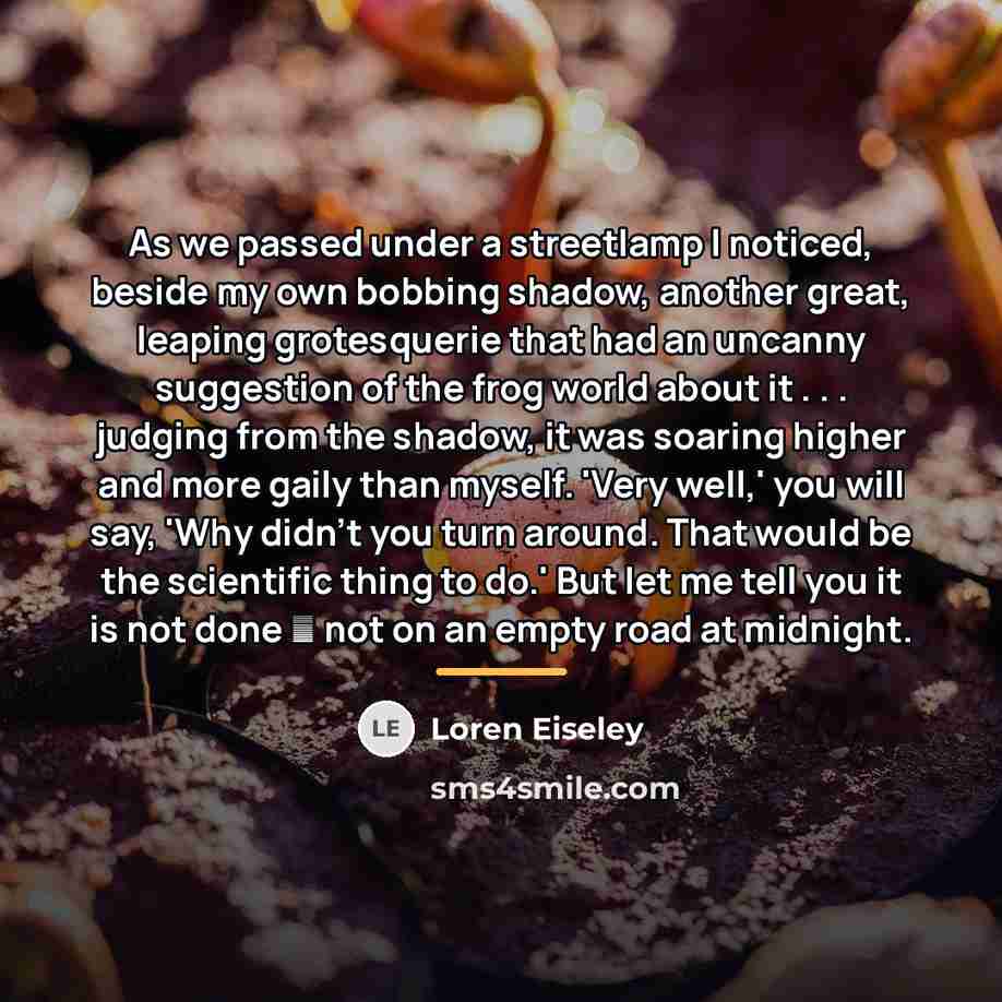 “As we passed under a streetlamp I noticed, beside my…” quote by Loren Eiseley