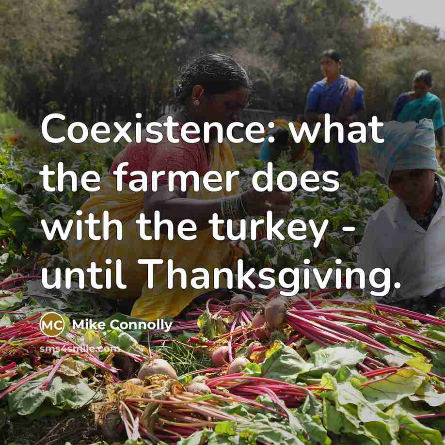 “Coexistence: what the farmer does with the turkey - until…” quote by Mike Connolly