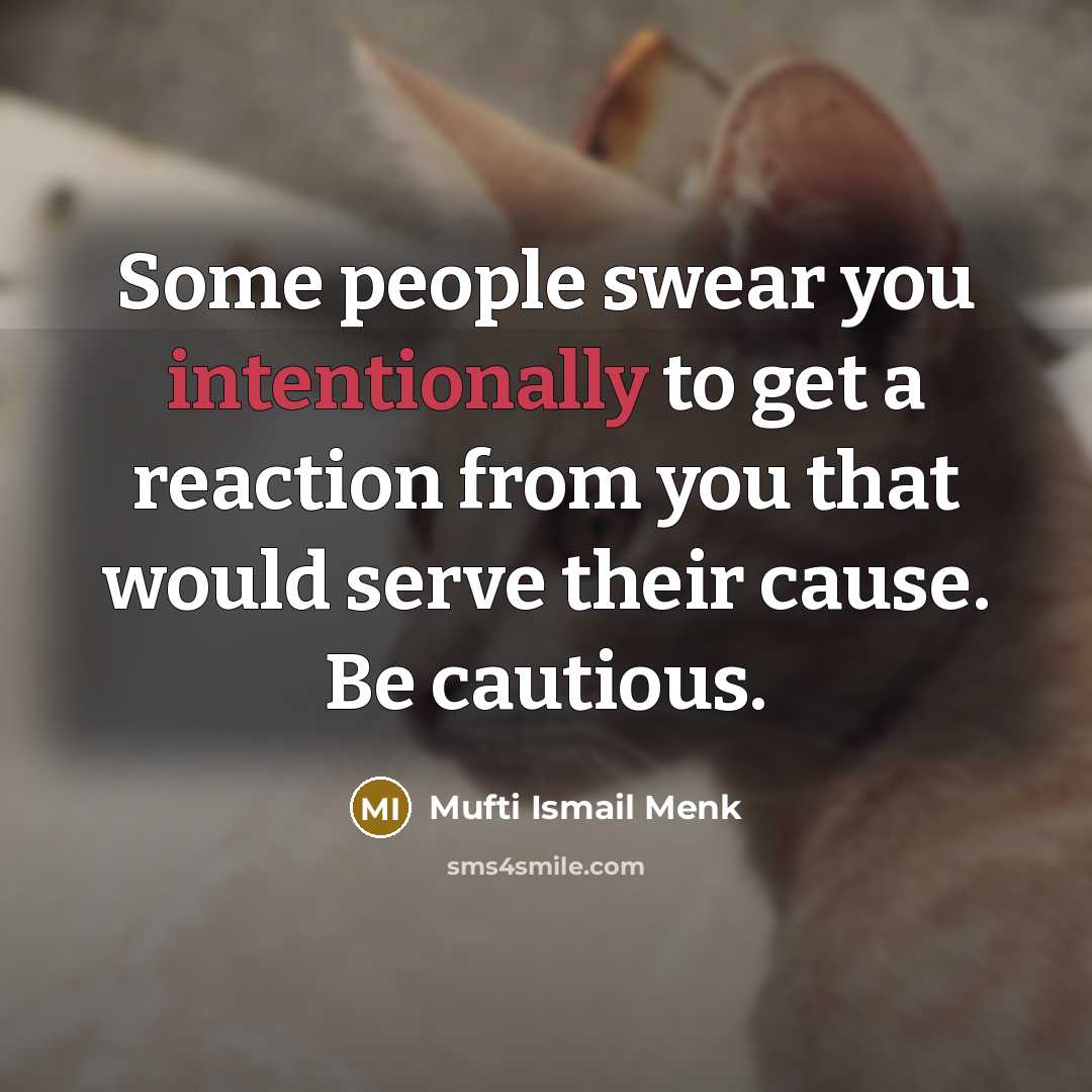 “Some people swear you intentionally to get a reaction from…” quote by Mufti Ismail Menk