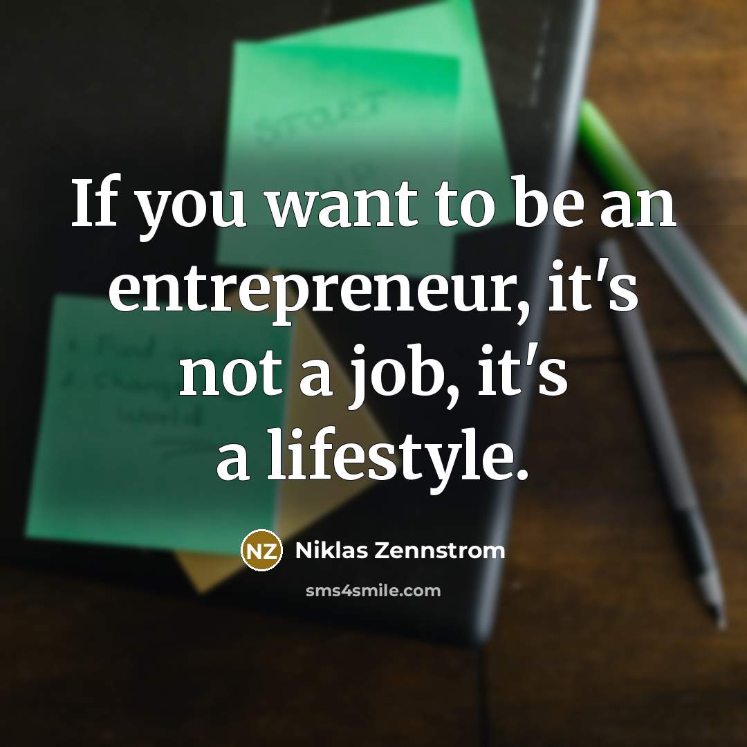 “If you want to be an entrepreneur, it's not a…” quote by Niklas Zennstrom