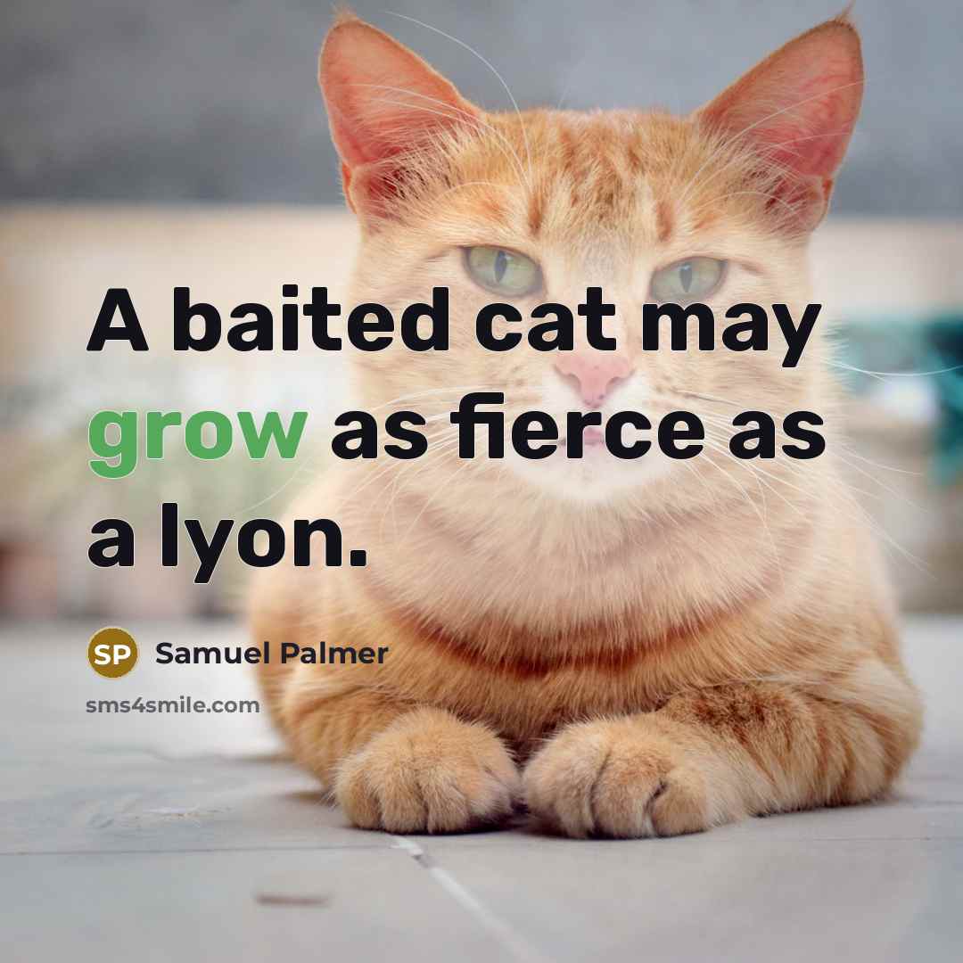 “A baited cat may grow as fierce as a lyon.…” quote by Samuel Palmer