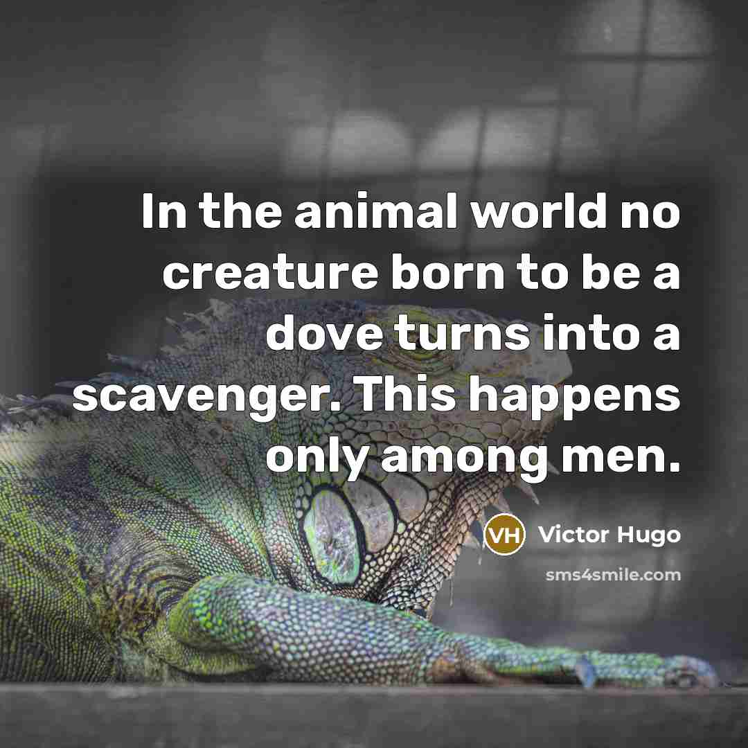 “In the animal world no creature born to be a…” quote by Victor Hugo