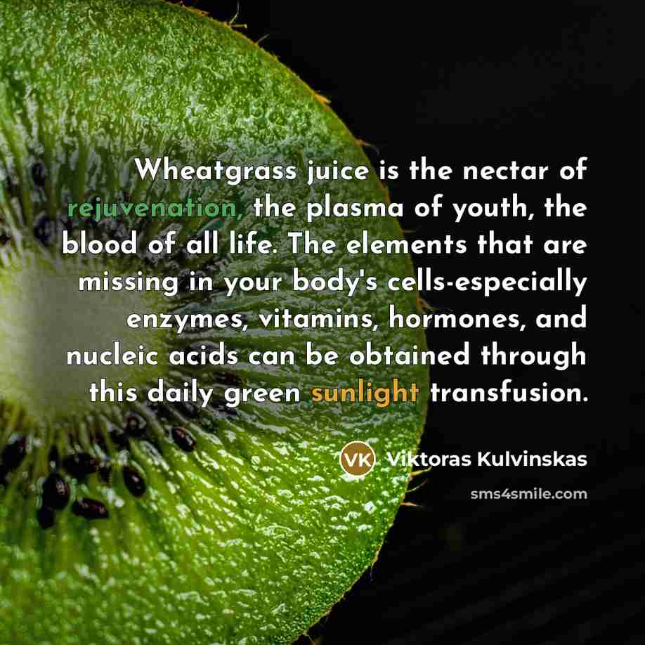 “Wheatgrass juice is the nectar of rejuvenation, the plasma of youth, the blood of all life. The elements that are missing in your body's cells-especially enzymes, vitamins, hormones, and nucleic acids can be obtained through this daily green sunlight transfusion.” quote by Viktoras Kulvinskas