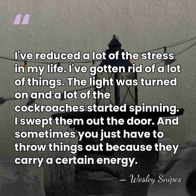 I've reduced a lot of the stress in my life. I've gotten&hellip; - Wesley Snipes