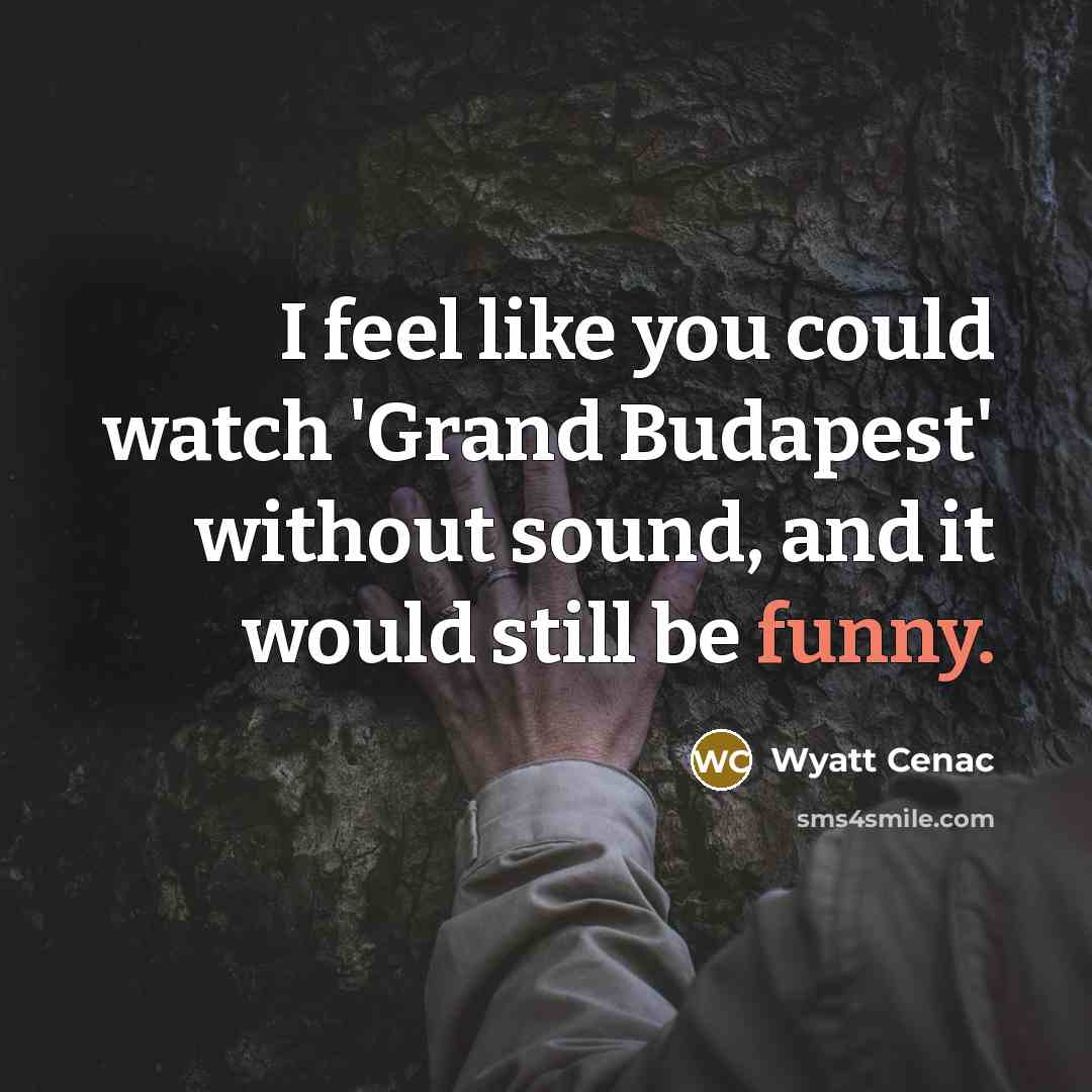 “I feel like you could watch 'Grand Budapest' without sound,…” quote by Wyatt Cenac