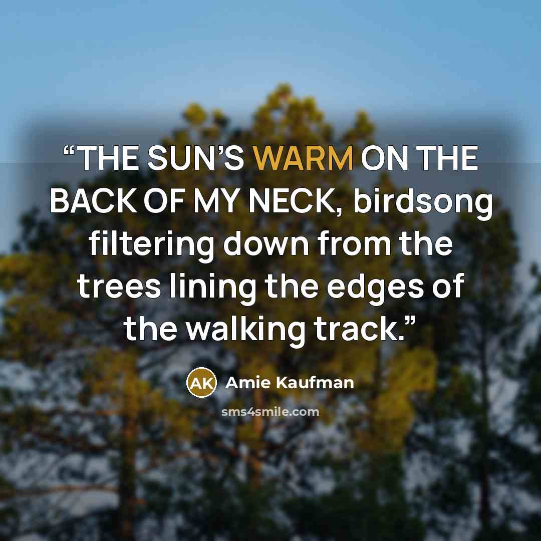 “THE SUN’S WARM ON THE BACK OF MY NECK, birdsong filtering down from the trees lining the edges of the walking track.” quote by Amie Kaufman