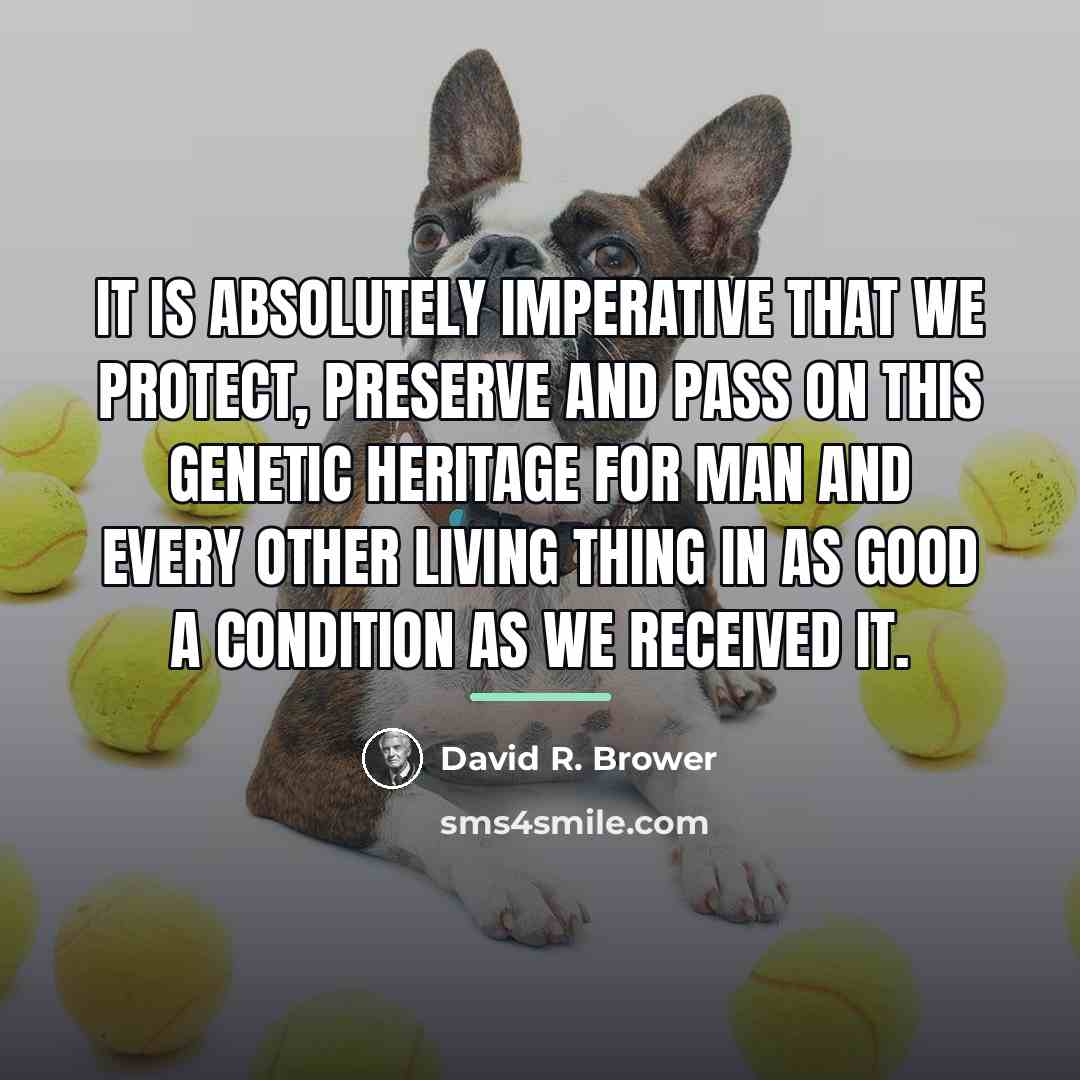 “It is absolutely imperative that we protect, preserve and pass…” quote by David R. Brower