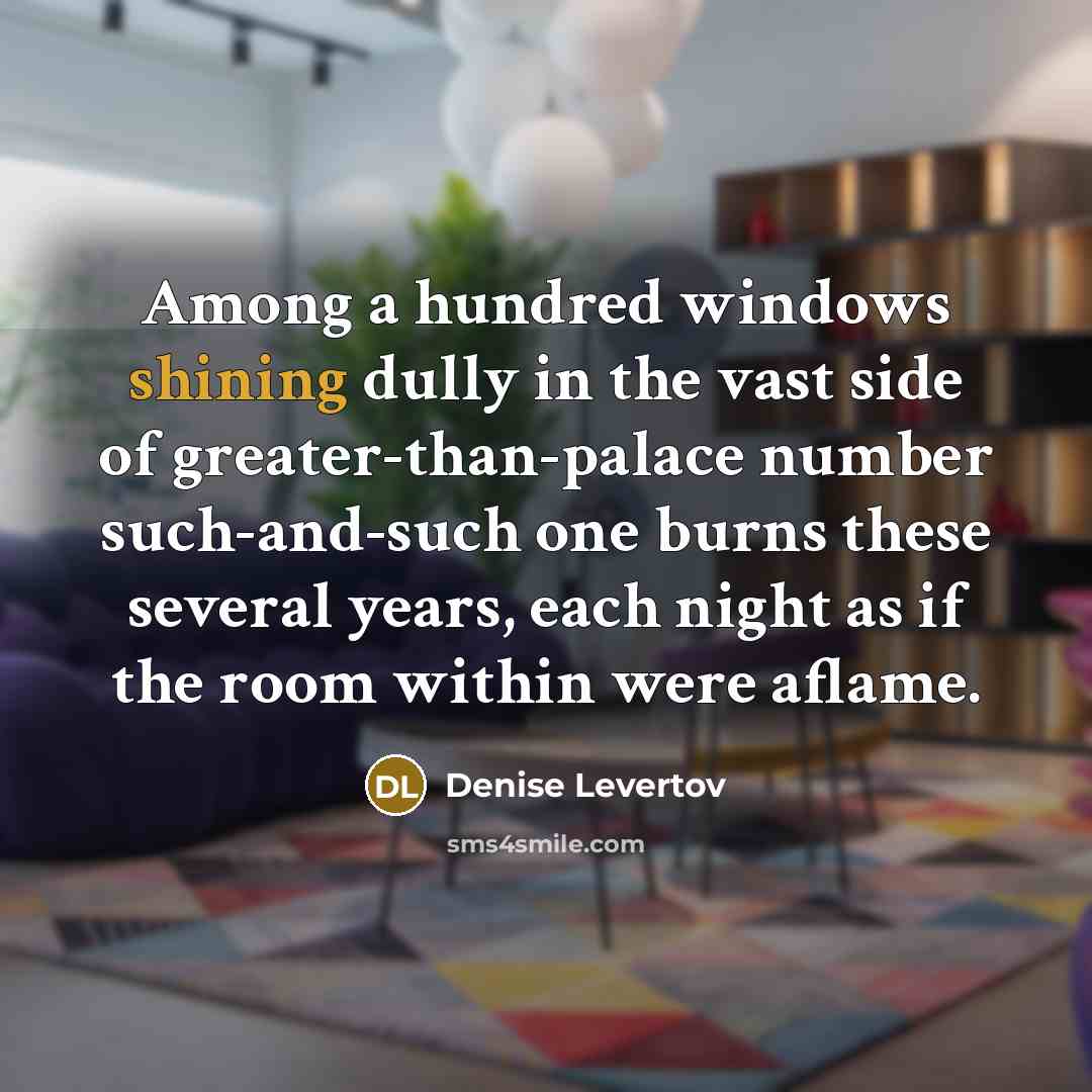 “Among a hundred windows shining dully in the vast side…” quote by Denise Levertov