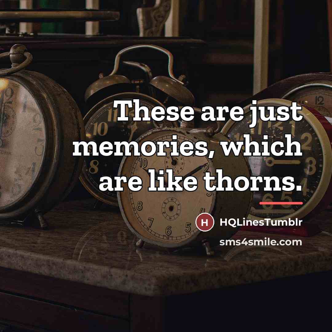 “These are just memories, which are like thorns.…” quote by HQLinesTumblr