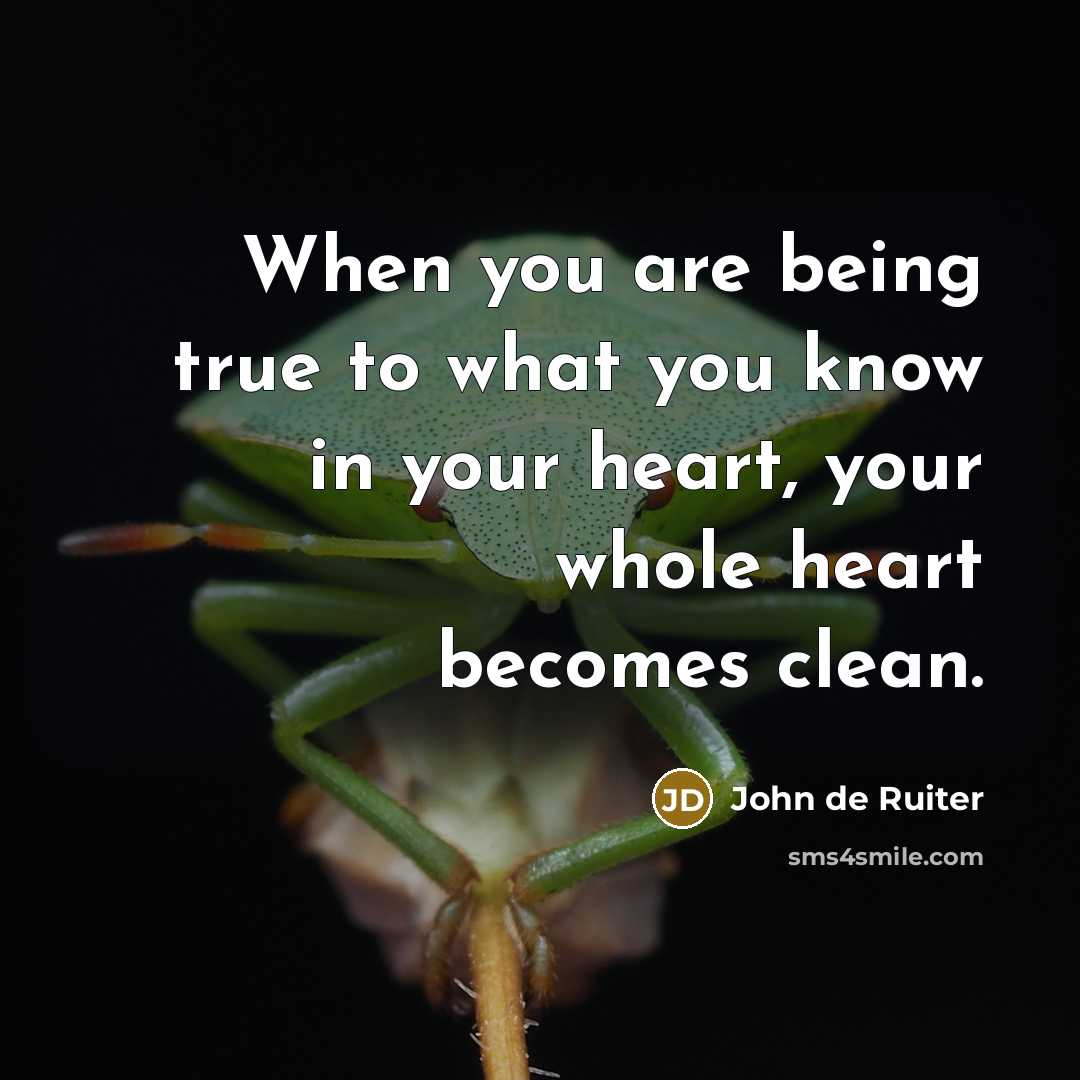 “When you are being true to what you know in…” quote by John de Ruiter