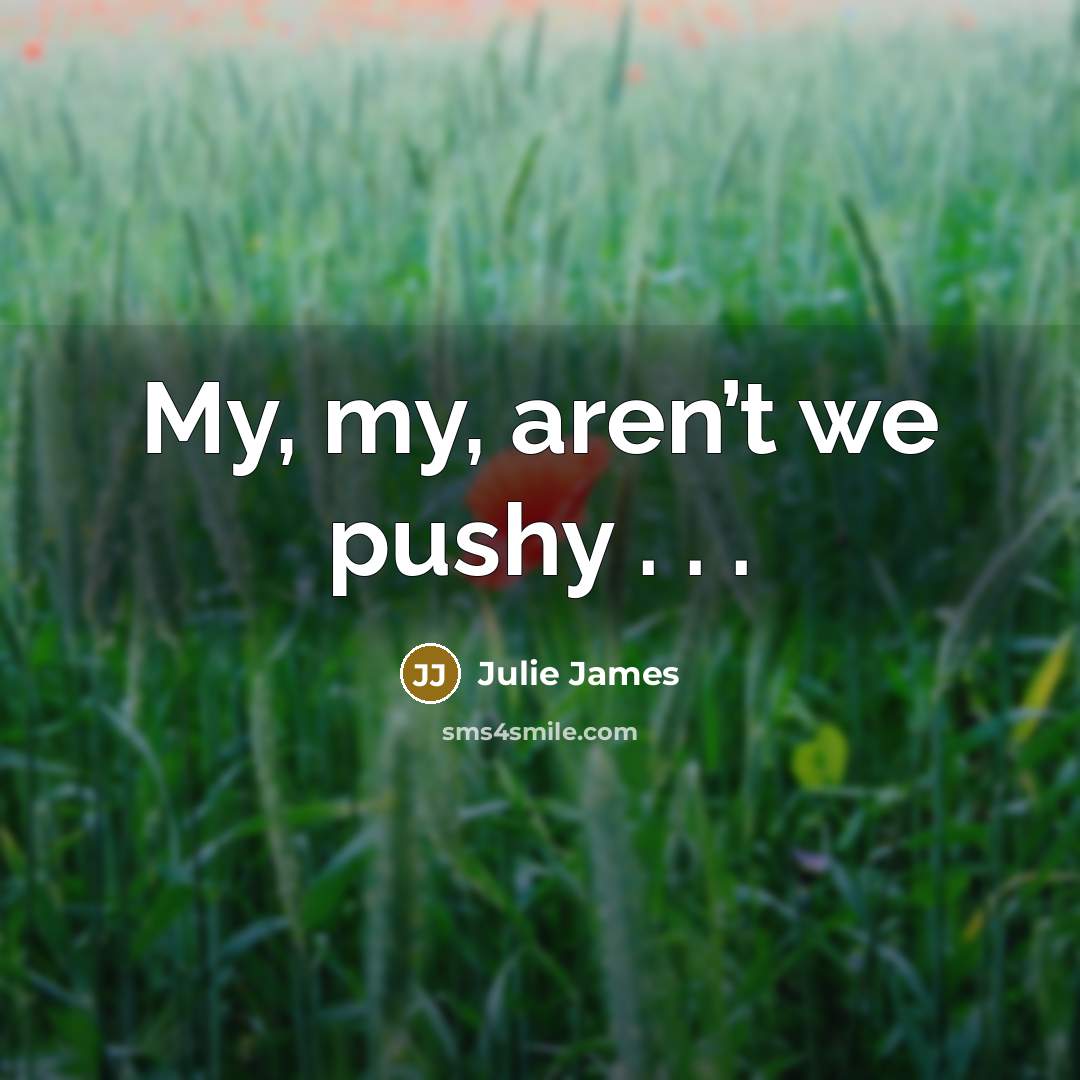 “My, my, aren’t we pushy . . .…” quote by Julie James