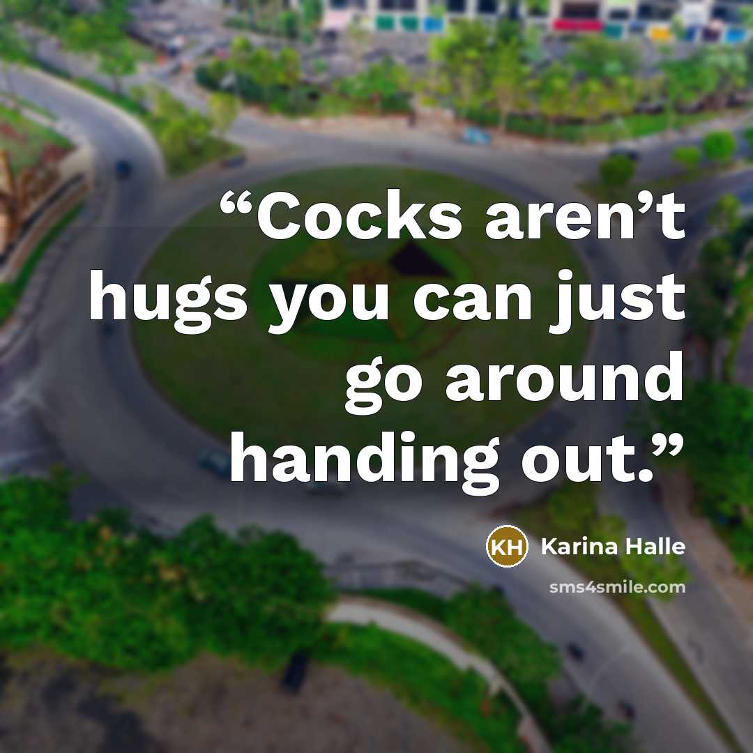 “Cocks aren’t hugs you can just go around handing out.” quote by Karina Halle