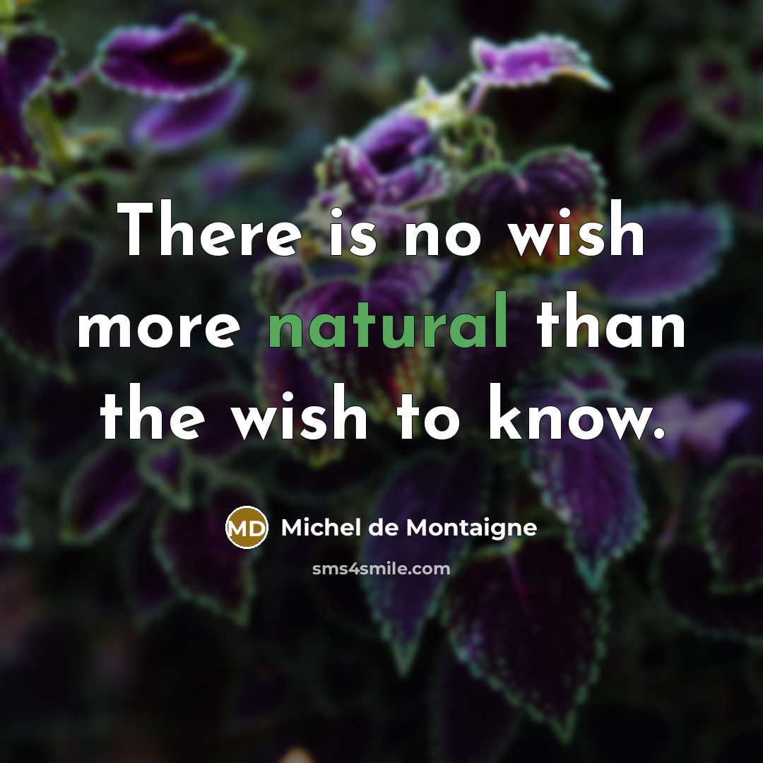 “There is no wish more natural than the wish to…” quote by Michel de Montaigne