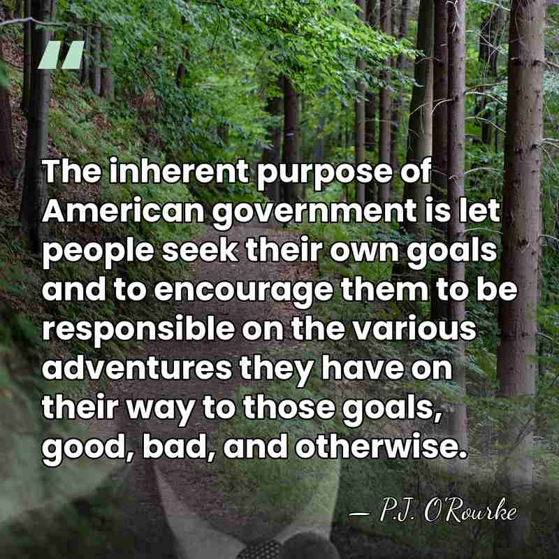 The inherent purpose of American government is let people seek their own&hellip; - P.J. O'Rourke